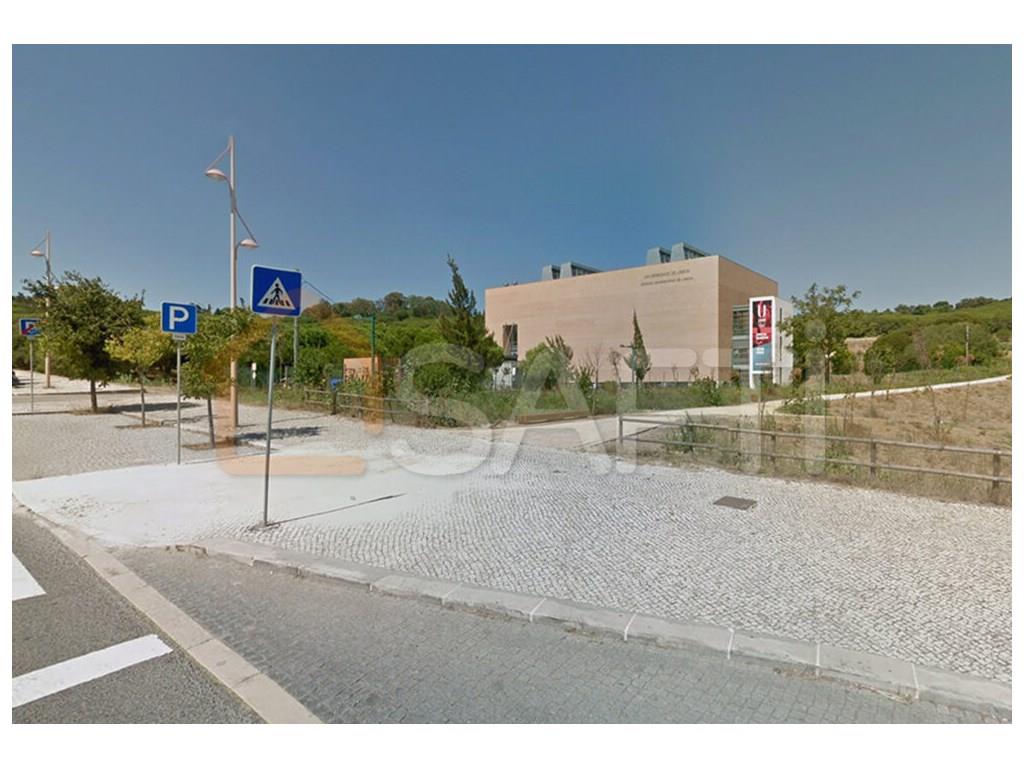 Osto: Tontti (1300)