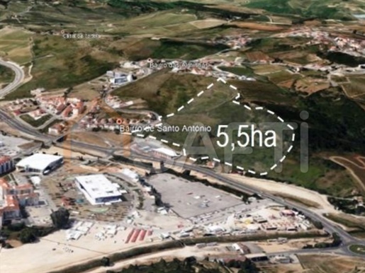 Land for construction with 5.5 ha in Torres Vedras