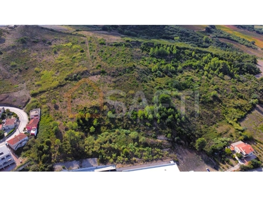 Land for construction with 5.5 ha in Torres Vedras