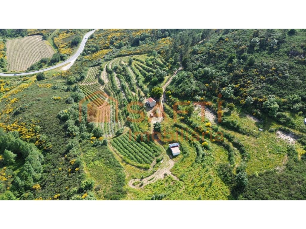 4 hectare country estate with small residence of 2 floors