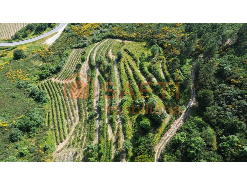 4 hectare country estate with small residence of 2 floors