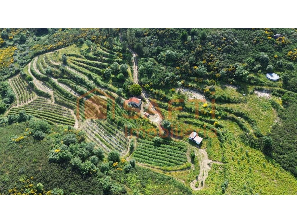 4 hectare country estate with small residence of 2 floors