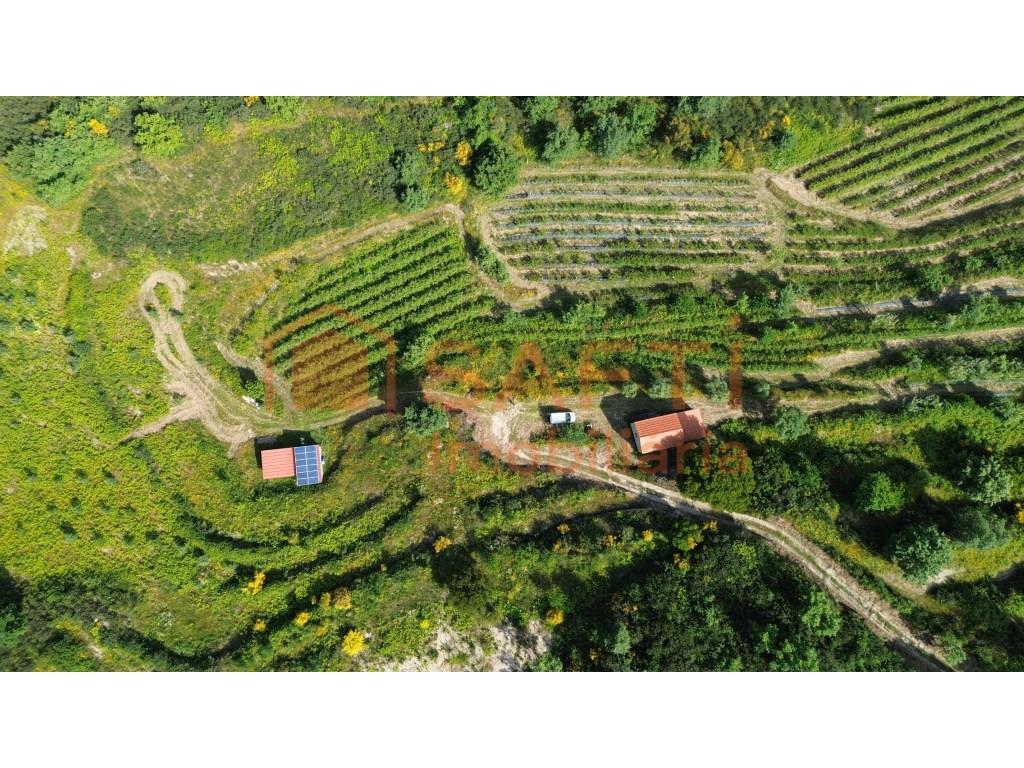 4 hectare country estate with small residence of 2 floors