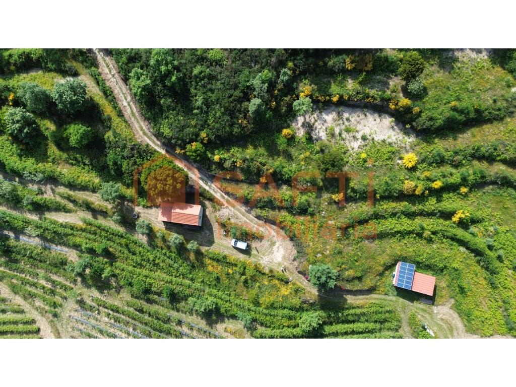 4 hectare country estate with small residence of 2 floors