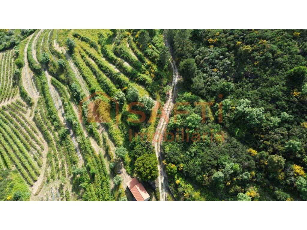 4 hectare country estate with small residence of 2 floors