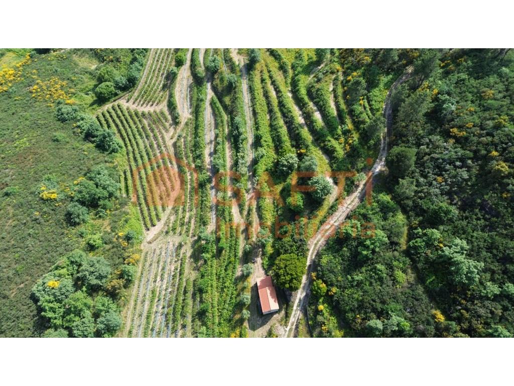 4 hectare country estate with small residence of 2 floors