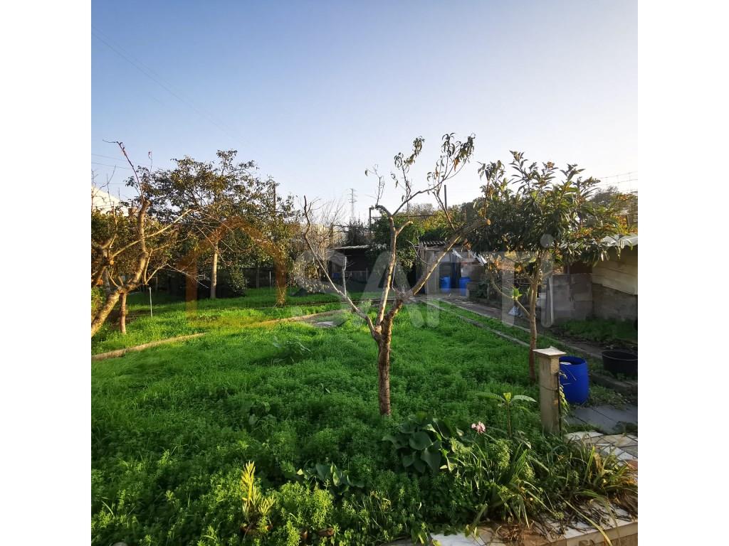 Compra: Casa (4730)