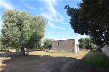 Casas de campo de pedra típicas para venda em Carovigno