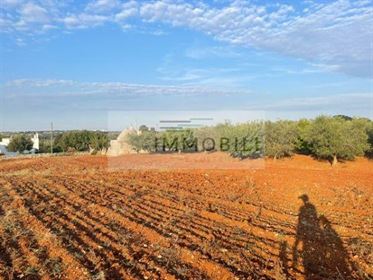 Lcimmobili | Trullo met grond te koop in Valle D' Itria Ref. Tr 2