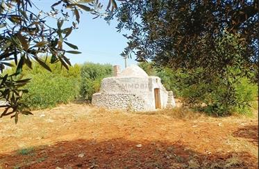 Large land with panoramic trullo For Sale in Carovigno