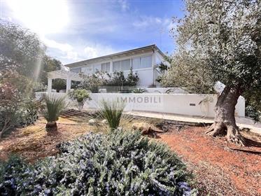 House Monti Sea View For Sale In Carovigno