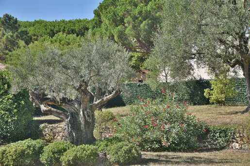 Additional image 9 of Valbonne (Alpes-Maritimes)