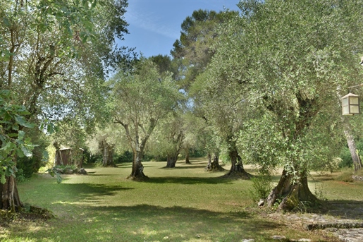 Additional image 2 of Valbonne (Alpes-Maritimes)