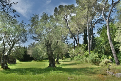 Additional image 6 of Valbonne (Alpes-Maritimes)