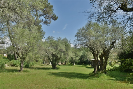 Additional image 7 of Valbonne (Alpes-Maritimes)