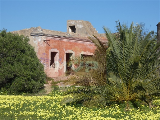 Land with Ruin in Olhão