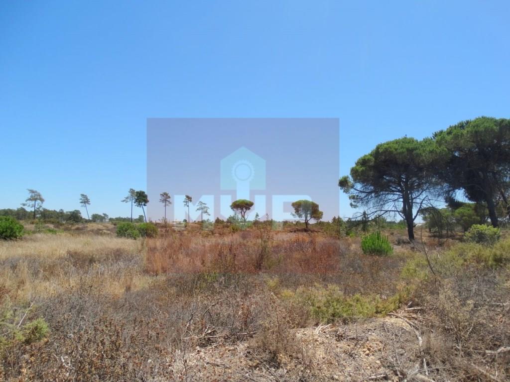 House T3, near the beach of Faro