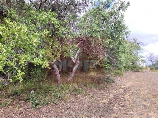 Rustic Land in Cerro do Guilhim