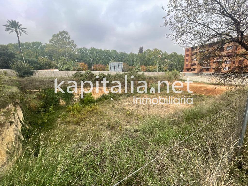 Purchase: Land (46800)