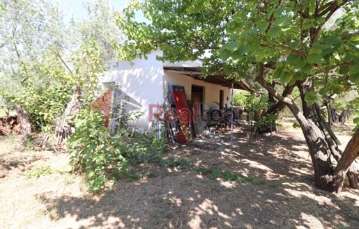 (De vânzare) Casa detașată || Prefectura Magnesia/Sporades-Skopelos - 56 m m m, 1 M/D, 70.000€