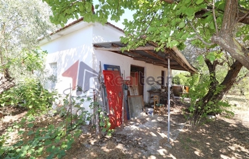 (De vânzare) Casa detașată || Prefectura Magnesia/Sporades-Skopelos - 56 m m m, 1 M/D, 70.000€