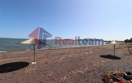 (للبيع) قطعة أرض قابلة للاستخدام || محافظة ماغنيسيا/ألميروس - 1.470 متر مربع, 40.000€