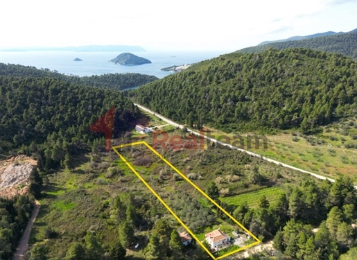 (For Sale) Residential Detached house || Magnisia/Sporades-Skopelos - 65 Sq.m, 1 Bedrooms, 170.000€