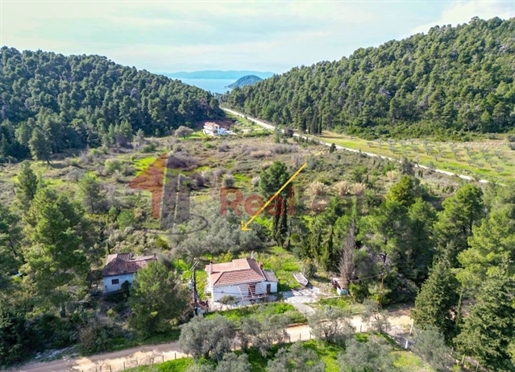 (À vendre) Maison individuelle résidentielle || Préfecture de Magnésie/Sporades-Skopelos - 65 m², 1