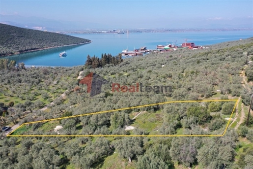 (For Sale) Land Plot || Magnisia/Sourpi - 1.560 Sq.m, 35.000€