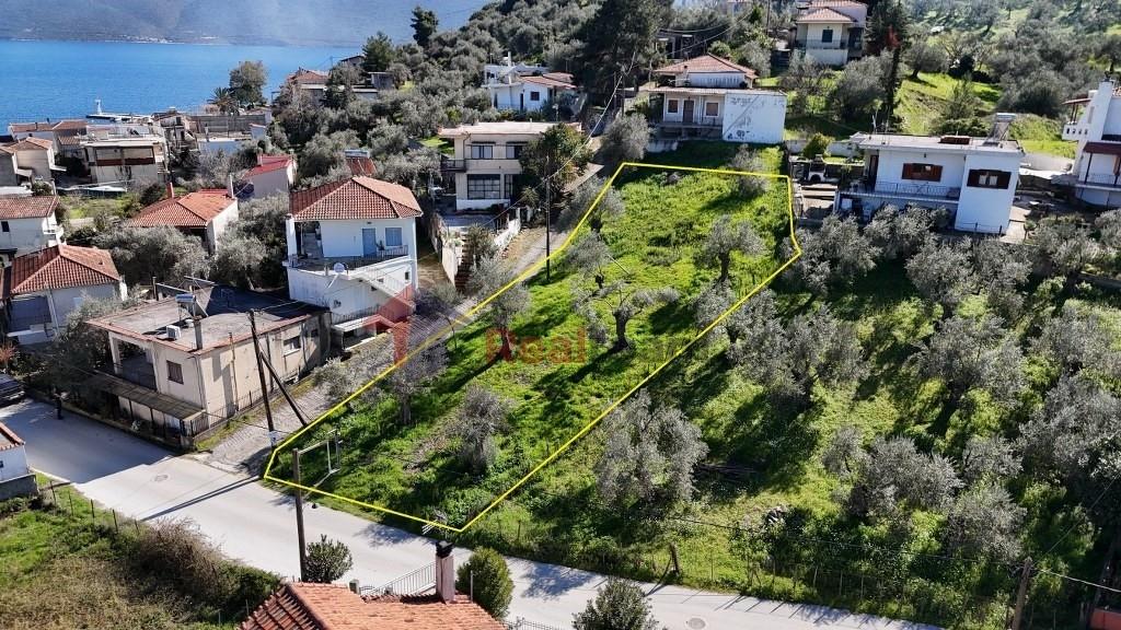 (For Sale) Land Plot || Magnisia/Pteleos - 615 Sq.m, 45.000€