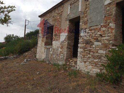 (For Sale) Residential Detached house || Magnisia/Karla - 80 Sq.m, 40.000€