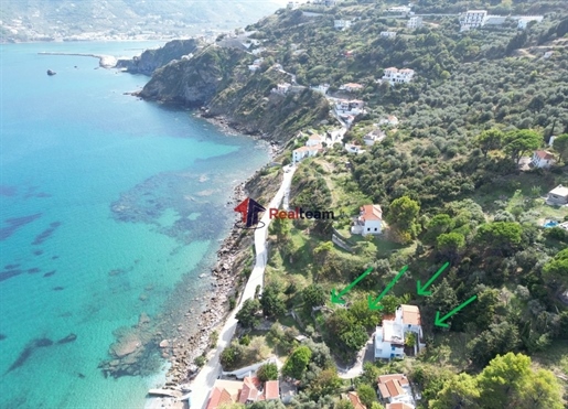 (For Sale) Commercial Building || Magnisia/Sporades-Skopelos - 199 Sq.m, 550.000€