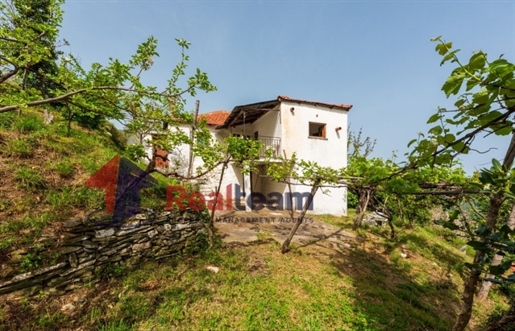 (For Sale) Residential Detached house || Magnisia/Pilio-Mouresi - 60 Sq.m, 2 Bedrooms, 125.000€