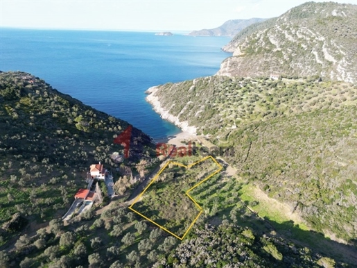 (Na prodej) Využitelný pozemek || Prefektura Magnesia/Sporades-Alonissos - 4.900 m², 350.000€