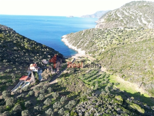 (Zu verkaufen) Nutzbares Grundstück || Präfektur Magnesia/Sporades-Alonissos - 4.900 qm, 350.000€