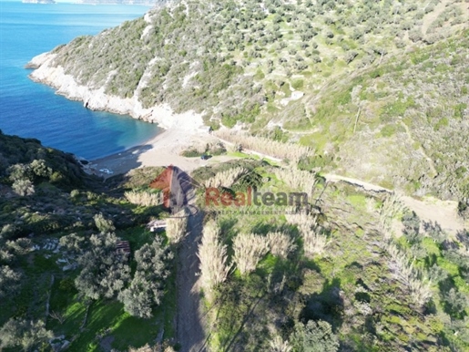(Te koop) Bruikbare grond Perceel || Prefectuur Magnesia/Sporaden-Alonissos - 4.900 m², 350.000€