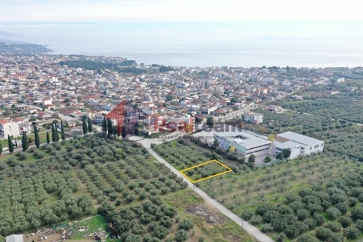 (Na prodej) Využitelný pozemek || Prefektura Magnesia/Nea Anchialos - 423 m², 22.000€