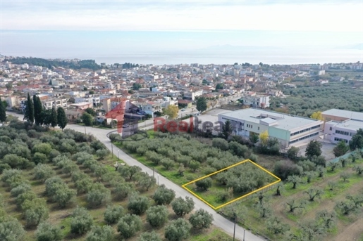 (For Sale) Land Plot || Magnisia/Nea Achialos - 423 Sq.m, 22.000€