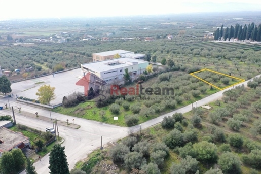 (À vendre) Terrain utilisable || Préfecture de Magnésie/Nea Anchialos - 423 m², 25.000€