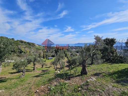 (Zu verkaufen) Nutzbares Grundstück || Präfektur Magnesia/Sporades-Skiathos - 4.600 qm, 220.000€
