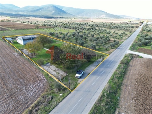 (For Sale) Commercial Warehouse || Magnisia/Sourpi - 260 Sq.m, 68.000€