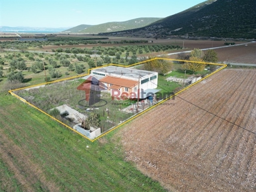 (For Sale) Commercial Warehouse || Magnisia/Sourpi - 260 Sq.m, 68.000€