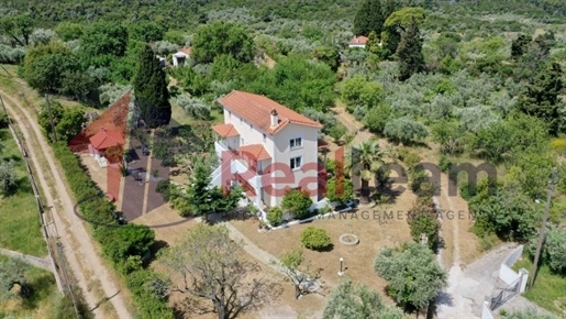 (À vendre) Maison individuelle résidentielle || Préfecture de Magnésie/Sporades-Skopelos - 150 m², 