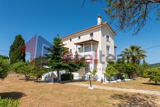 (À vendre) Maison individuelle résidentielle || Préfecture de Magnésie/Sporades-Skopelos - 150 m², 