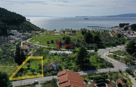 (Na predaj) využiteľný pozemok v rámci obce || Prefektúra Magnesia/Sporady-Skopelos - 1.340 m²,