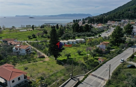 (For Sale) Land Plot wIthin Settlement || Magnisia/Sporades-Skopelos - 1.340 Sq.m, 175.000€
