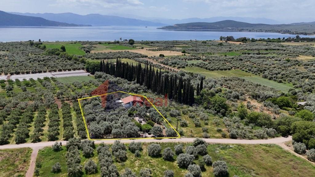 - Detached house For sale, Pelasgia, 241 sq.m., €150.000