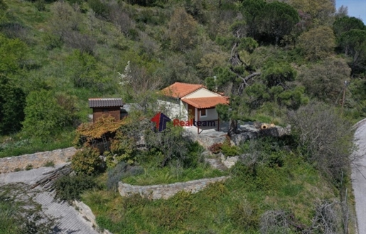 (Продава се) Жилищен имот Самостоятелна къща || Префектура Магнезия/Споради-Скопелос - 36 кв.м, 210