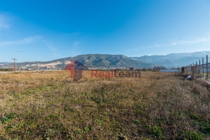 (For Sale) Land Plot || Magnisia/Volos - 5.341 Sq.m, 600.000€