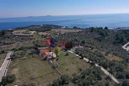 (Zu verkaufen) Wohnen Einfamilienhaus || Präfektur Magnesia/Sporades-Alonissos - 60 m², 220.000€